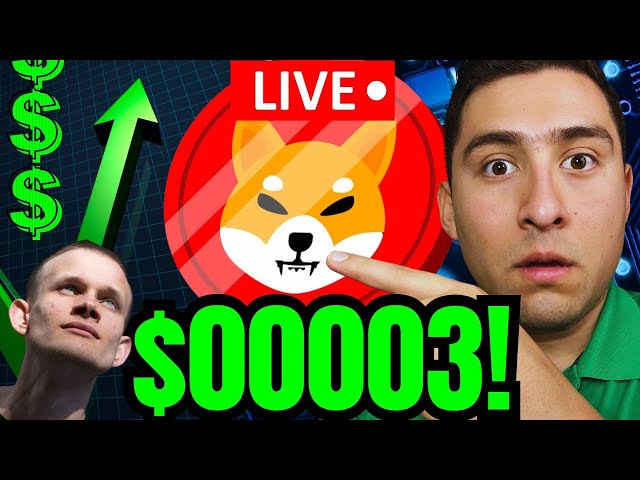 SHIBA INU COIN BIENTÔT DÉPLACER !?🔴BITCOIN RISING CRYPTO