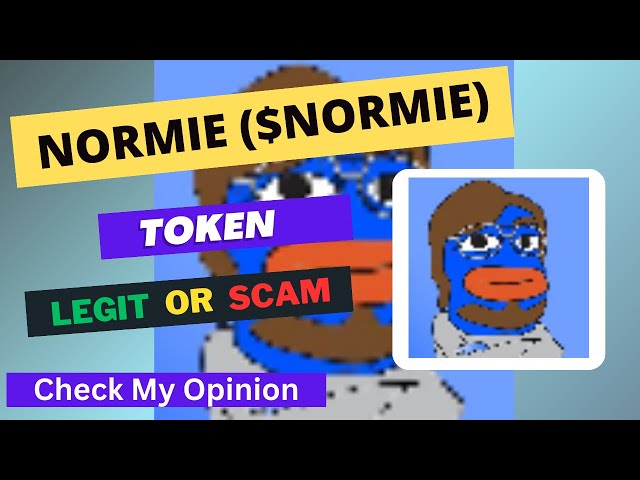 Le jeton NORMIE (NORMIE) est légitime ou frauduleux | Le jeton NORMIE est-il légitime ou frauduleux ?