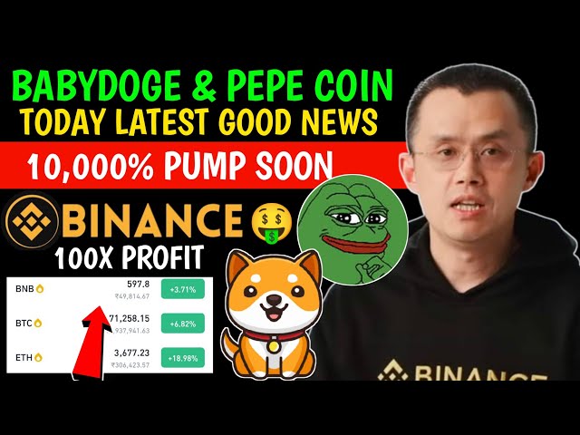 Babydog coin news | Pepe latest updates | ₹1 will be accepted🤑 Burning 80%🔥 |Binance listing | 100X Soon