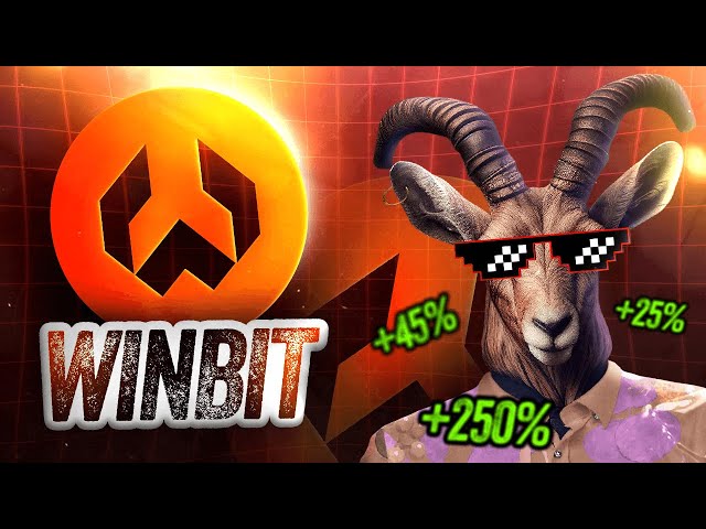 從0到英雄！ 🔥 Winbit 🔥 下一個 100 倍代幣