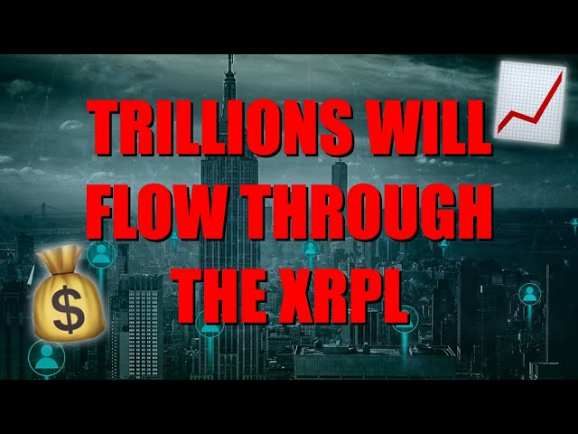 🚨 XRP リップル ⚠️ 重要な訴訟期限 👩‍⚖️ XRP の需要が急増しようとしています 🚀