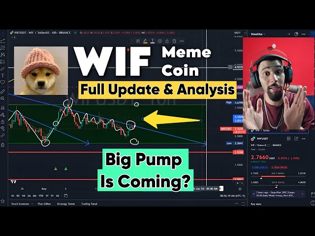 WIF MEME COIN 加密货币酋长的完整更新分析 - 免费乌尔都语印地语加密货币交易指南