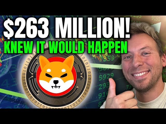 SHIBA INU – 263 MILLIONS DE DOLLARS !!! J'AI DIT QUE CELA ARRIVERAIT !