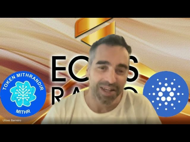 „Token Mithrandir & Cryptocurrencies“ Folge Nr. 17/01 – Ecos Radio (Trelew/Argentinien)