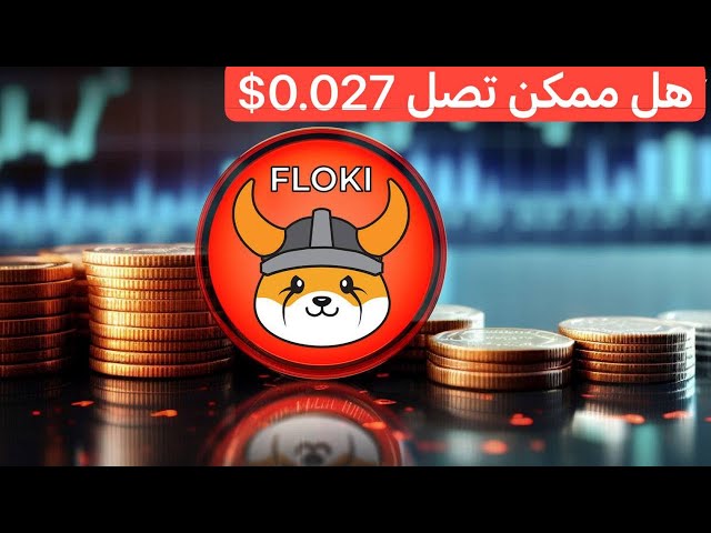 Floki Coin vise 0,027 $ – 22/05/2024