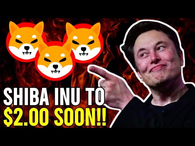 SHIBA INU COIN IS CREATING MILLIONAIRES!! THIS IS HOW MANY TOKENS YOU REALLY NEED! - SHIB NEWS TODAY