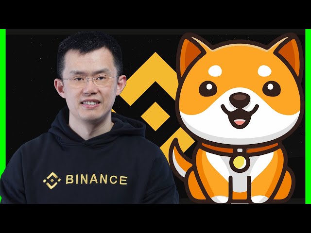 BABY DOGE AUF BINANCE WIRD BESSER SEIN ALS PEPE COIN