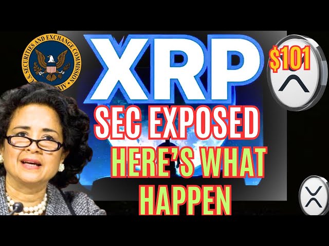 瑞波币 VS SEC 今日新闻：比尔·摩根 (Bill Morgan) 揭露 SEC | 30 亿瑞波币 | XRP 价格预测