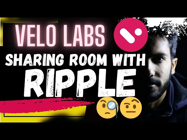 🚨 VELO LABS: リップルとルームシェア!!! 🚨