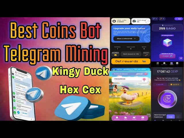 Telegram 赚钱 Kingy Coin 挖矿机器人|最佳硬币 Bot Telegram 挖矿