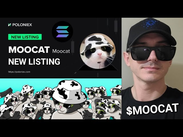 $MOOCAT - MOOCAT 代币 加密货币 SOL SOLANA RAYDIUM POLONIEX JUPITER MOO CAT MEME 区块链 ORCA