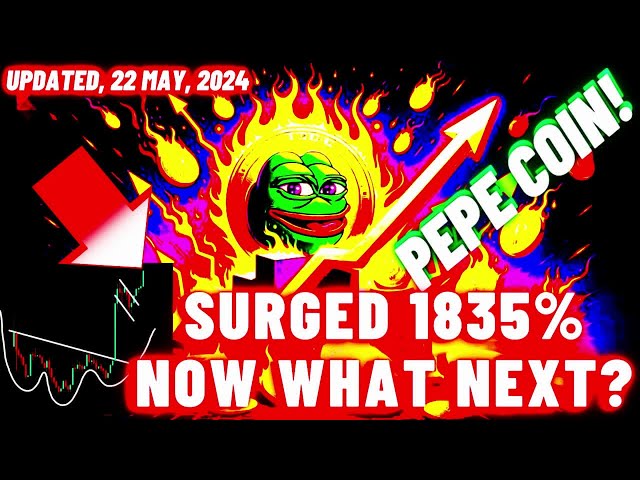 PEPE Crypto Coin Surged 1835% Now What Next? | Updated, 22 May, 2024