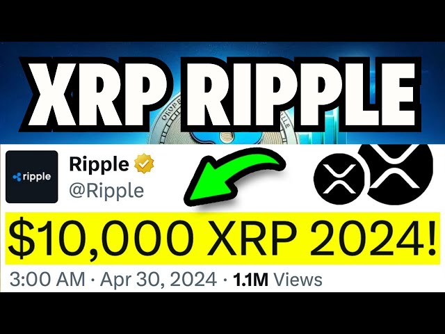 XRP Ripple : les propriétaires de plus de 1 000 XRP pourraient devenir considérablement riches !