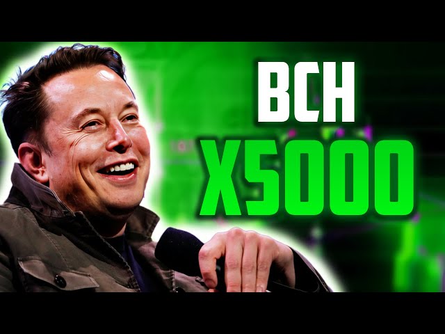 BCH 将在这一天达到 X5000？ - 比特币现金价格预测以及您应该购买吗？