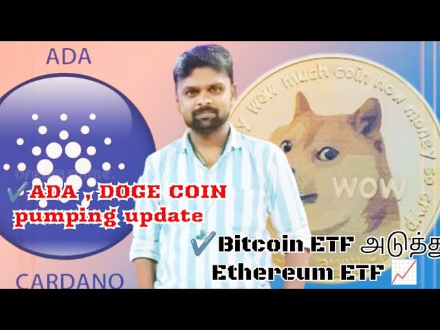 比特币价格更新| ADA Coin & Doge coin 抽水 |以太坊 ETF 批准更新