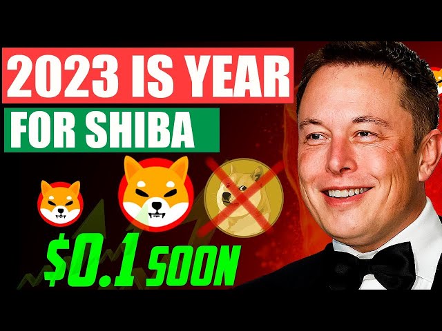 "SHIBA INU : décision surprise du gouvernement américain ! Révélation incroyable ! - SHIBA INU Coin News Today"