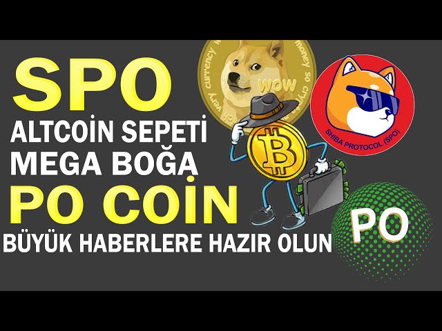 PANIERS ALTCOIN DU PROTOCOLE SHIBA ET NOUVELLES DE PO COIN BOMB