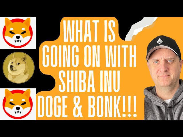 🚀🤑 PRÉDICTION DU PRIX DES PIÈCES SHIBA INU AVEC DOGECOIN ET BONK ! MEILLEURES CRYPTO À ACHETER MAINTENANT !