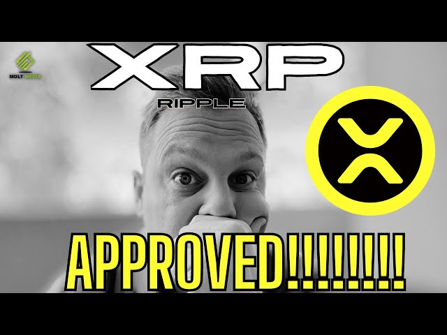 XRP는 자유입니다! (대규모 승인!!) 🚨🚨