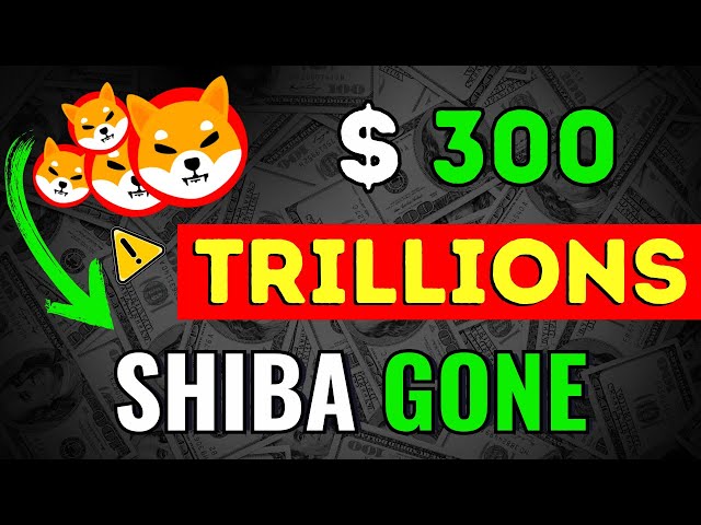 SHIBA INU: $300,000,000,000,000가 영원히 사라졌습니다 !!! 반 이상 공급! - SHIBA INU 코인 뉴스 업데이트