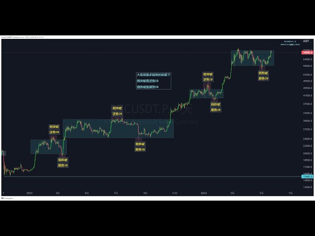 Résumé de la hausse actuelle du BTC en 2024.5