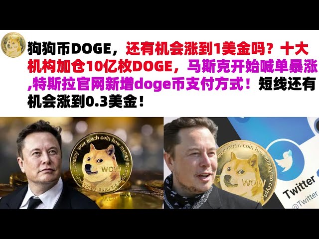 狗狗币DOGE还有机会涨到1美元吗？十大机构增仓10亿DOGE，马斯克开始下单飙升，特斯拉官网新增DO支付方式