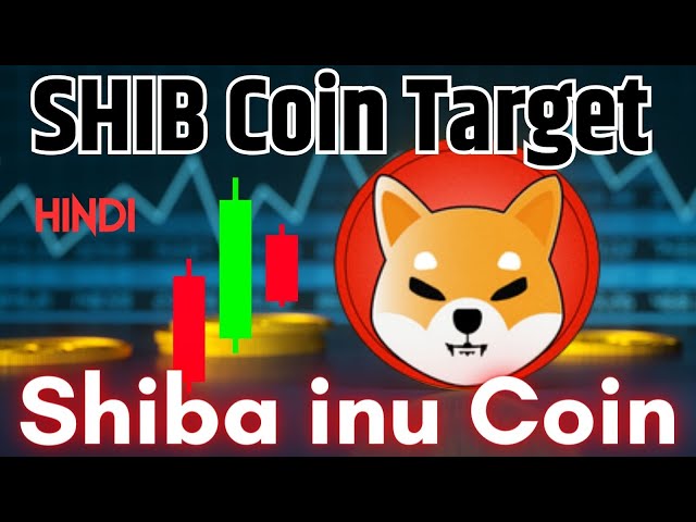 SHIB/USDT 今日交易图表分析 - Shiba Inu Coin 目标价格走势