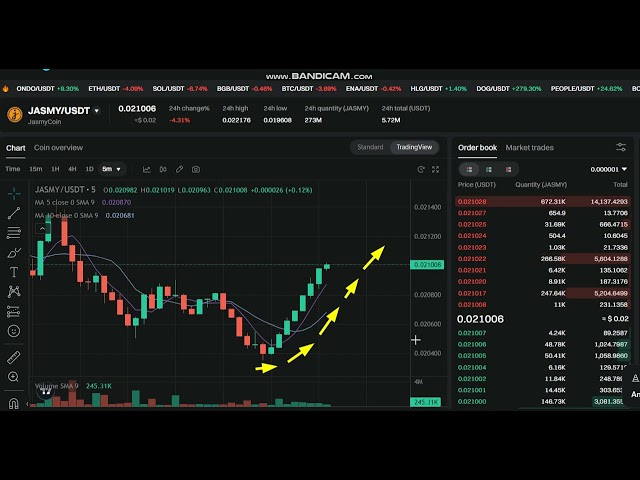 aktualisiert LIVE JasmyCoin JASMY Preisvorhersage – LIVE JASMY NEWS – JASMY Preisdiagramm