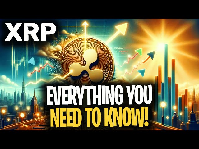 RIPPLE XRP에 대해 알아야 할 모든 것(최고의 XRP 비디오)