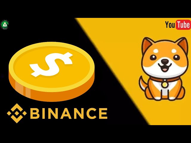 Il est désormais possible de voir BABY DOGE COIN sur Binance