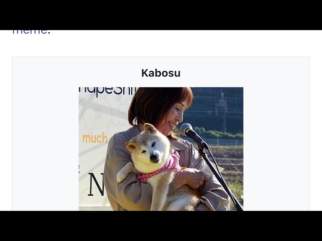 R.I.P Kabosu 又名 Doge Coin Dog #dogecoin