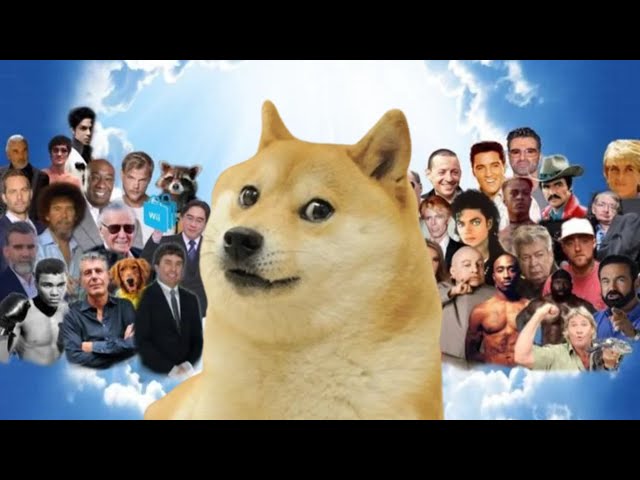 goodbye Doge Dog Kabosu