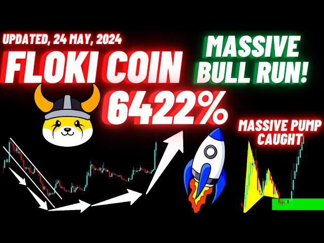 FLOKI 加密货币爆发巨大暴涨！ |更新日期：2024 年 5 月 24 日