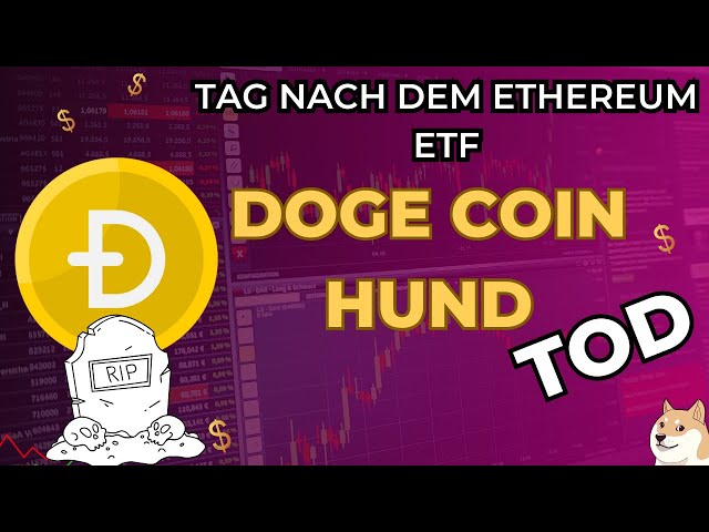 DOGE COIN DOG が死んだ R.I.P :(! イーサリアム ETF が承認された翌日です! Doge Pump?