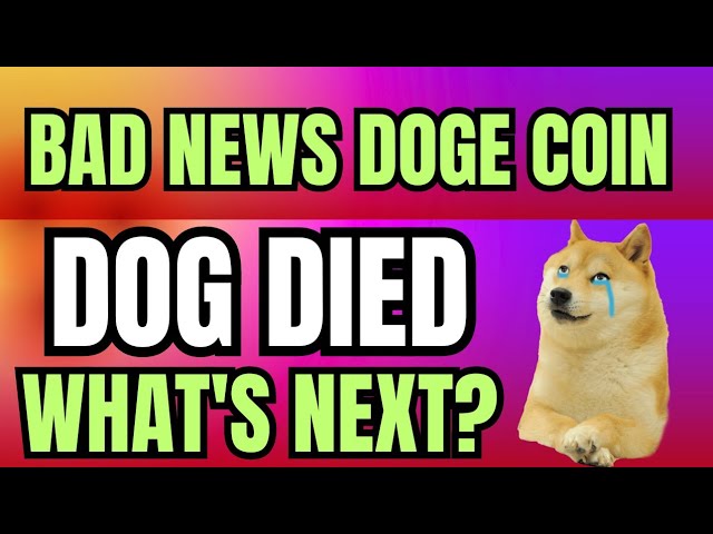 Doge Coin に関する悪いニュース - かぼす犬が死んだ - Dogecoin の次の大きな動き