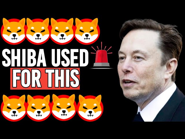 EXPLIQUÉ à quoi sert la pièce Shiba Inu - Elon Musk Shiba Inu Coin News Today