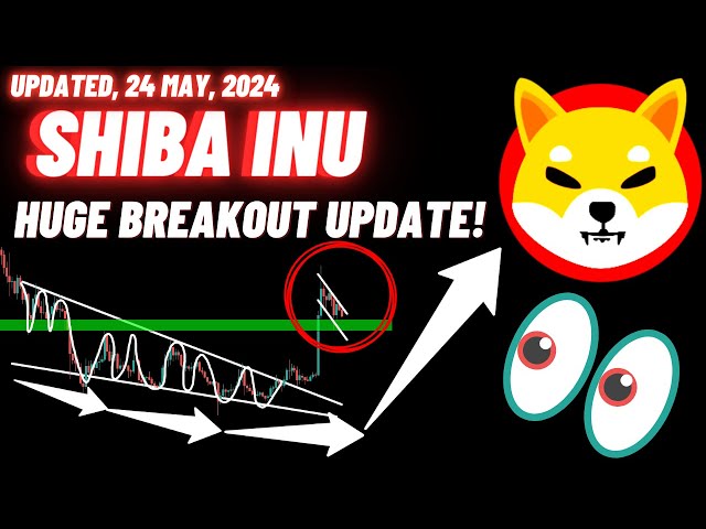 SHIBA INU Crypto Coin Énorme mise à jour ! | Mis à jour le 24 mai 2024