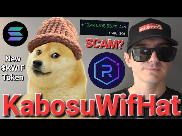 $KWIF - KabosuWifHat은 사기인가요?!? 암호화폐 KABOSU WIF HAT WIFHAT DOGE DOGECOIN KWIF SOL SOLANA