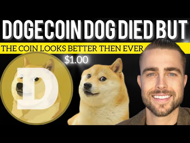 LE CHIEN EST DÉCÉDÉ MAIS LA PIÈCE EST VIVANTE ! DOGECOIN FAIT QUELQUE CHOSE DE SPÉCIAL EN CE MOMENT..