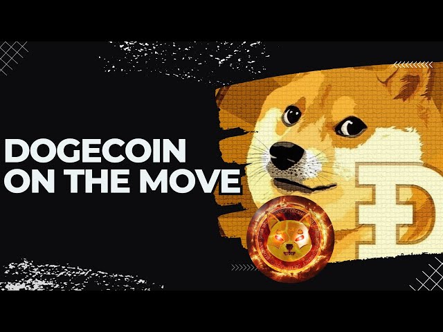 [MEME COIN]🚨PRICE ACTION🚨DOGECOIN STARTING TO ACTIVE?? | SHIBA INU IS STILL POSSIBLE RALLY?? | #DYOR