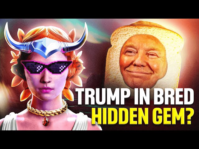 JETON MEME LE PLUS CHAUD !🔥 Trump in Bred 🔥 REJOIGNEZ LE PLAISIR ET GAGNEZ x1000 PROFIT !