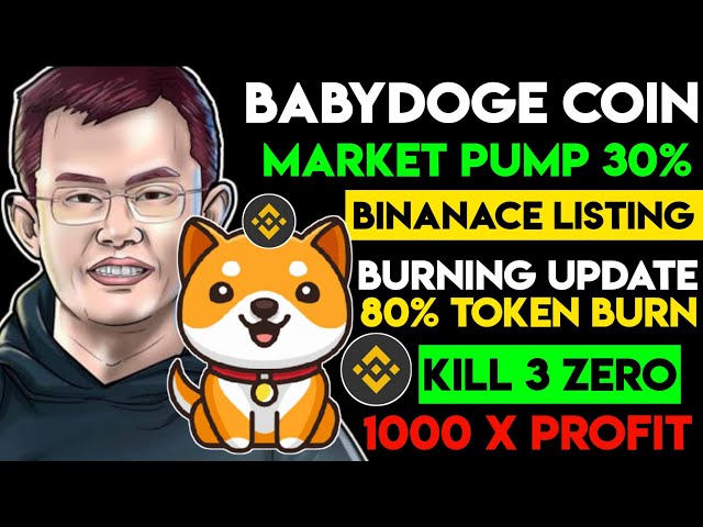 Dernières nouvelles de la pièce Babydoge | Date de cotation de Binance ? |Prévision de prix 1$? | Tuez 3 zéros | Babydoge 30%