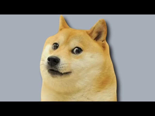 상징적인 Doge Meme 개 Kabosu가 18세의 나이로 세상을 떠났습니다.