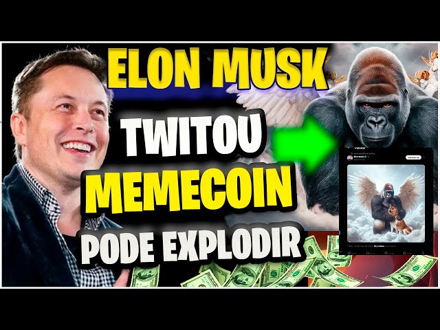 Die von Elon Musk unterstützte Memecoin-Kryptowährung Harambe könnte um 20.000 % explodieren