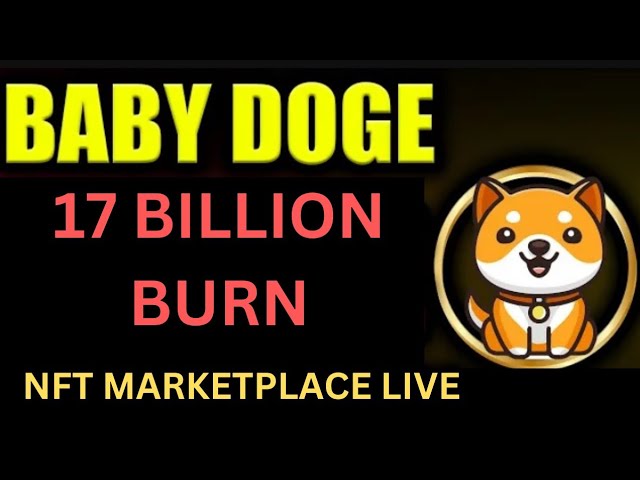 Actualités Baby Dogecoin aujourd'hui | 17 milliards brûlés | Pompe à prix des pièces BabyDoge | Liste Binance