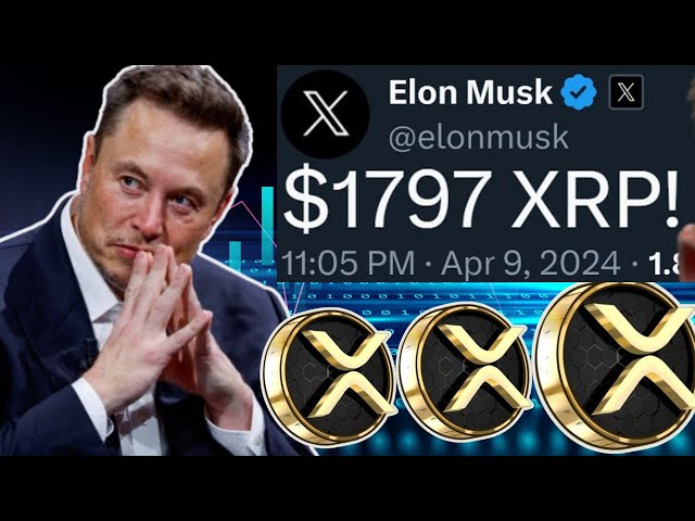 ELON MUSK CONFIRMED XRP PARTNERSHIP! - $102.47 AN XRP!