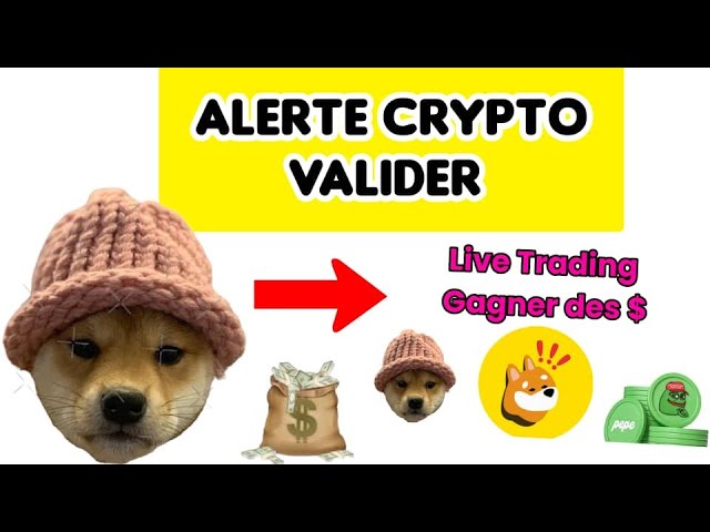 JETON WIF : ALERTE DE VALIDATION CRYPTO. FÉLICITATIONS AU GAGNANT.