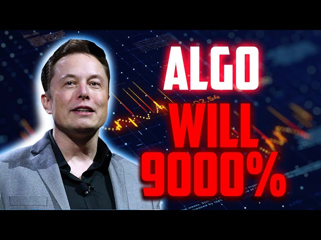 ALGO WILL RISE BY 9000% HERE'S WHEN?? - ALGORAND PRICE PREDICTION & ANALYSES 2024