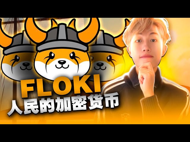 Floki Inu：从 Meme 币到加密货币巨头 🐶