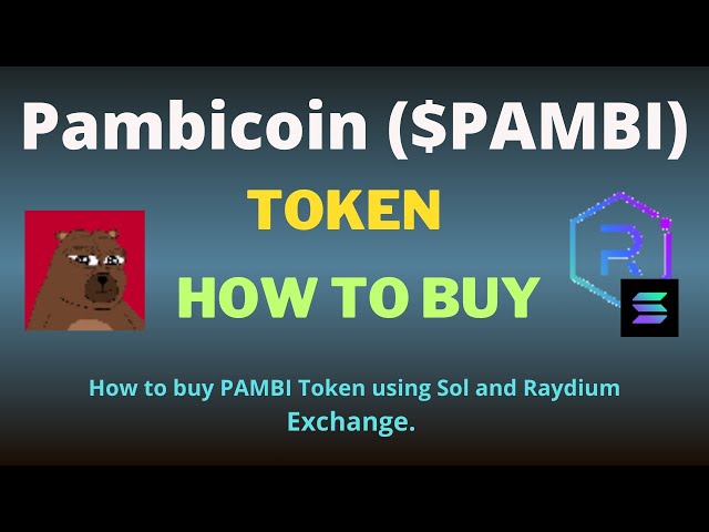 如何使用 Raydium Exchange 和 SOL 购买 Pambicoin (PAMBI) 代币